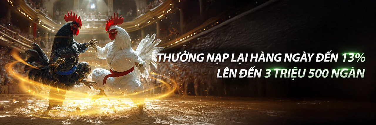 Sân đấu đá gà trực tiếp kịch tính tại K8
