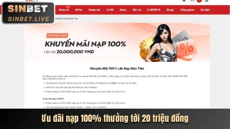 Hoàn trả K8